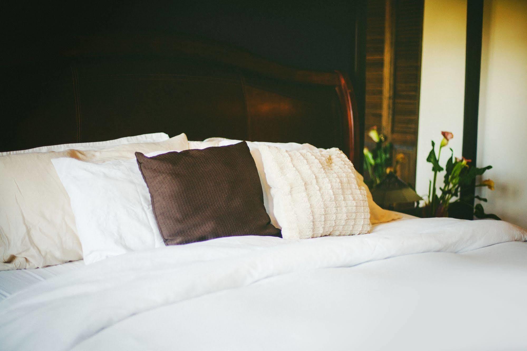 プリンスルパート トール ツリーズ ベッド & ブレックファースト Bed & Breakfast エクステリア 写真